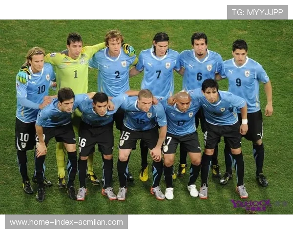 乌拉圭足球青训计划成效显著，乌拉圭足球队队员名单